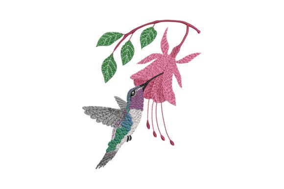 Hummingbird and Fuchsia: Boutique Sweatshirt Review